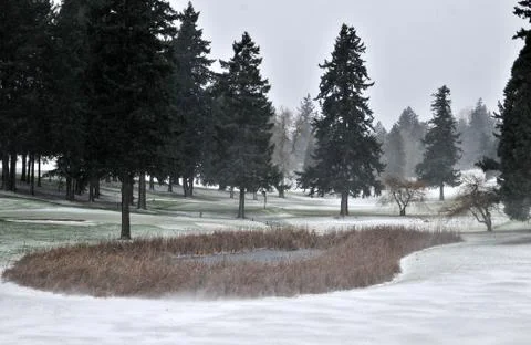 Snowfall in Park 02 Stock Photos