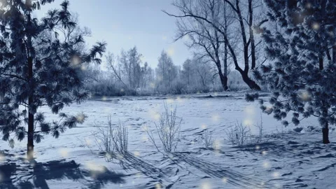 Snowfall in the Park at dawn Video stock 96476073