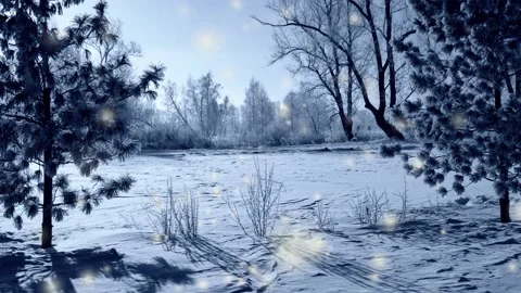 Snowfall in the Park at dawn 스톡 동영상 96730839