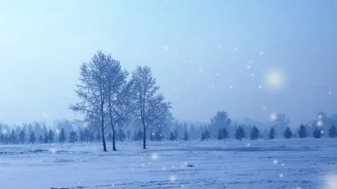 Snowfall in the Park at dawn Stock Footage 98382434