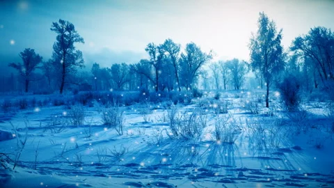 Snowfall in the Park at dawn Stock Footage 98595755
