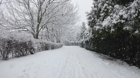Snowfall in a park during winter Stock Footage 232811301