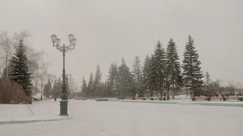 Snowfall in the Park Stock-Footage 45680580