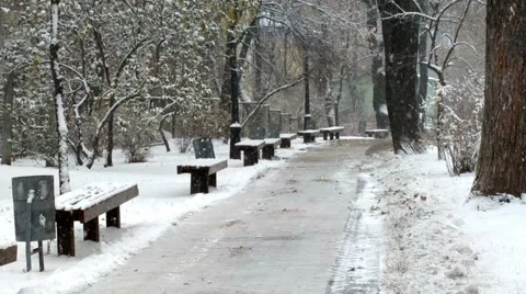 Snowfall in park. Stock Footage 54339331