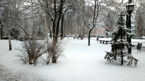 Snowfall in park. Stock Footage 55703939
