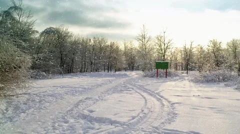 Snowfall in the park Stock Footage 68490702