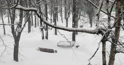 Snowfall in a park Video stock 169845338