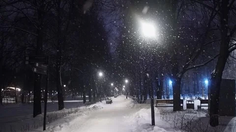 Snowfall in the park. Stock Footage 257137035
