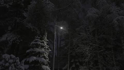 Snowfall In The Park At Night Video stock 261210005