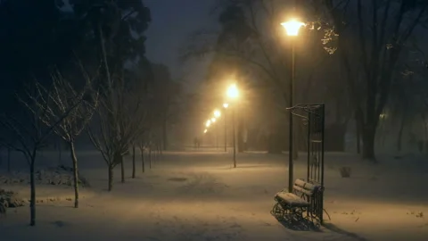 Snowfall park night lamp Stock Footage 101061850