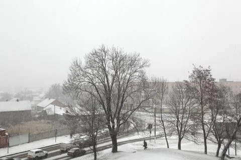 Snowfall Stock-Fotos