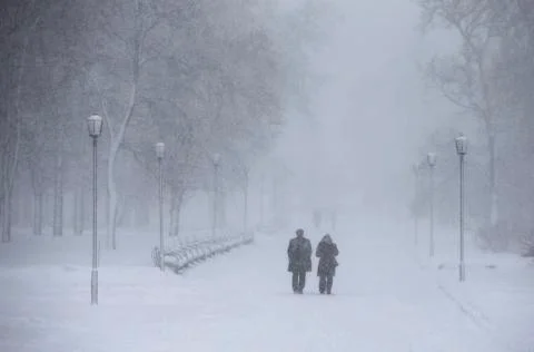 Snowfall Stock Photos