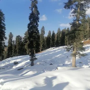 Snowfall Stock-Fotos