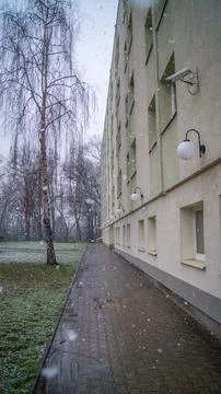 Snowfall Stock Photos