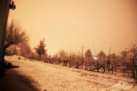 Snowfall Stock Photos