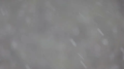 Snowfall with pine trees Video stock 35575323