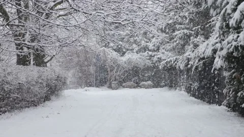 Snowfall in a public park during winter Stock Footage 232812251