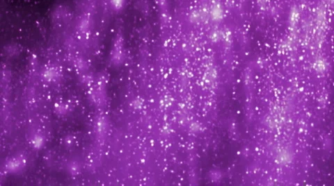 Snowfall. Purple Stock-Footage 4533860