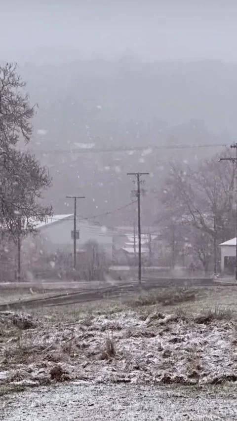 Snowfall in Quiet Rural Area Video stock 331439754