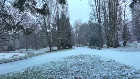 Snowfall in a quiet winter park with empty benches and pathway Stock Footage 330955408
