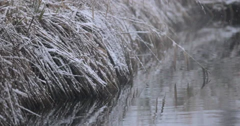 Snowfall into the river, 4K slomo Stock Footage 168376527