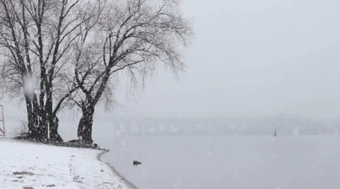 Snowfall on the river 動画素材 57708729