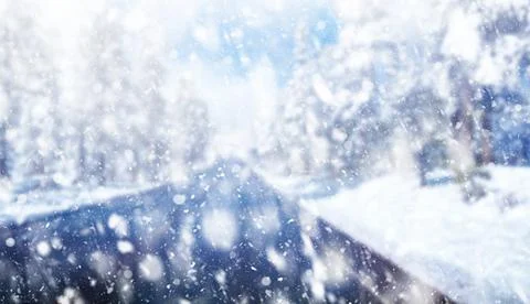 Snowfall on the road in the spruce forest Stock Photos