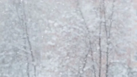 Snowfall Scene, winter background. Stockbeeldmateriaal 221563843