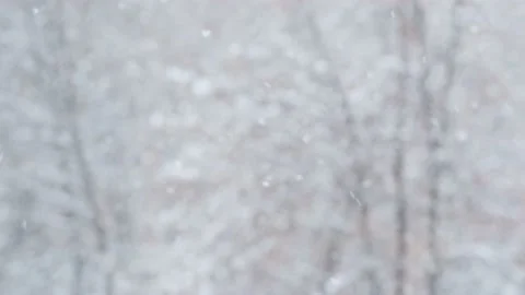 Snowfall Scene, winter background. Stock Footage 221992680
