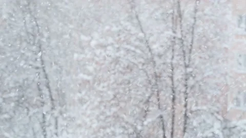 Snowfall Scene, winter background. Stockbeeldmateriaal 228045784