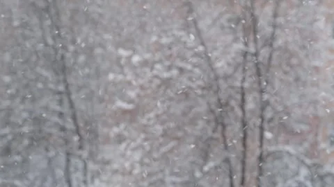 Snowfall Scene, winter background. Stockbeeldmateriaal 250082632