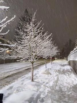 Snowfall in Seattle, Washington Stock Photos
