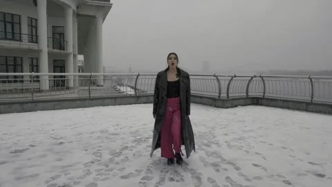 Snowfall singer walks Stock-Footage 252773602