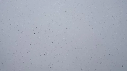 Snowfall sky filled with snowflakes particles Stock Footage 326051992