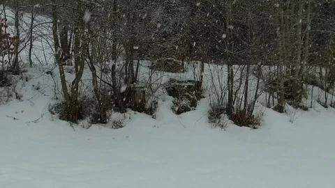Snowfall slow motion 1 Stock Footage 95543081