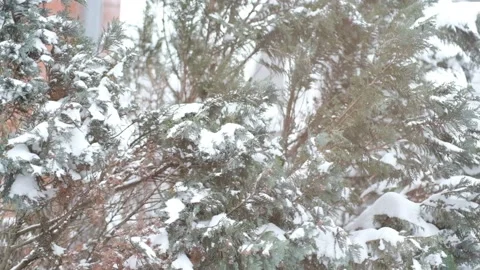 Snowfall in slow motion 120 fps Stockbeeldmateriaal 169262936