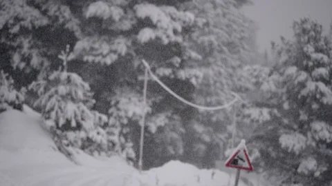 Snowfall slow motion 4k 1 스톡 동영상 88445295