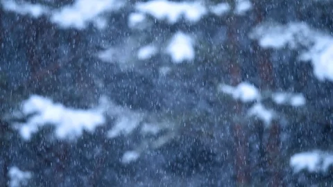Snowfall slow motion 4k Stock Footage 88445286