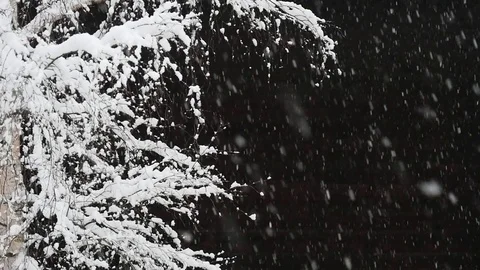 Snowfall in slow motion Stock Footage 85041539