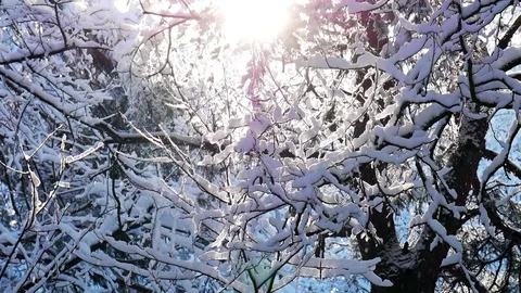 Snowfall slow motion 库存影片 85086720