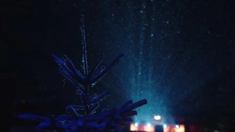 Snowfall in slow motion Stock-Footage 232004117