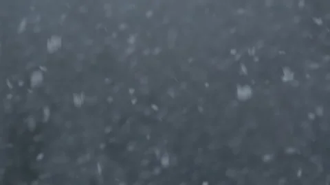 Snowfall in slow motion with shallow depth of field. Stock Footage 336003634