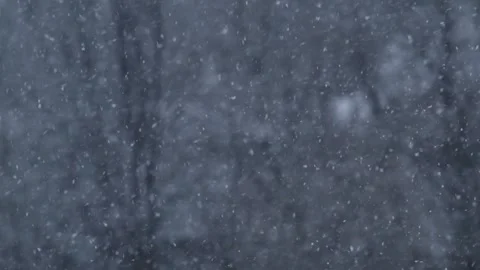Snowfall in slow motion with shallow depth of field. Stock-Footage 336003644
