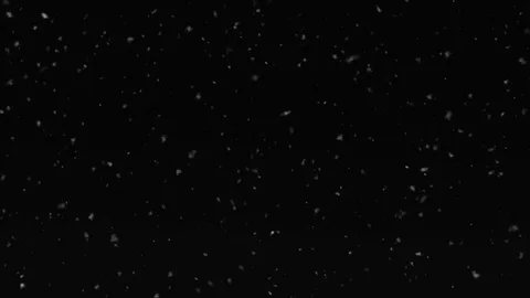 Snowfall. The snow is coming. Loop. Black background Stock-Footage 73286819
