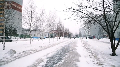 Snowfall on a snow-covered alley Stock Footage 59243469