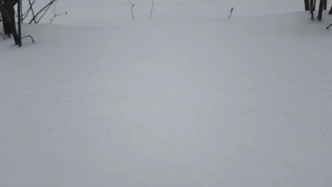 Snowfall snow drifts Stock Footage 87031050