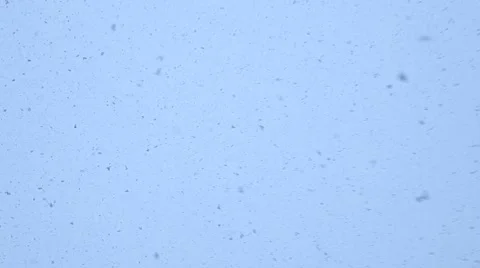 Snowfall. Snow flakes falling down in winter day Stock Footage 61932806