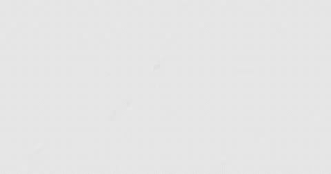 Snowfall in snow storm blizzard Stock Footage 156313730