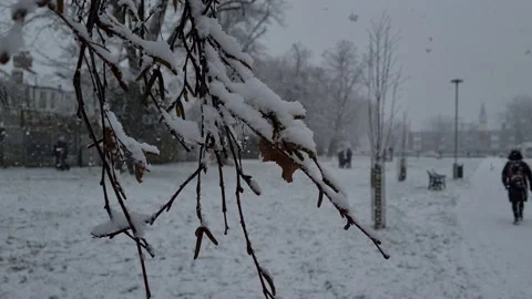 Snowfall in a suburban park. Stock Footage 147211731