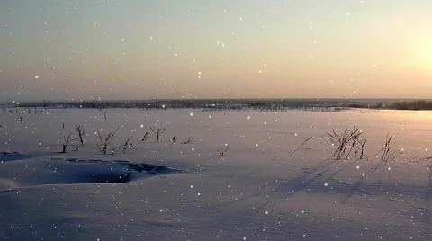 Snowfall on the sunset background Stock Footage 68490693